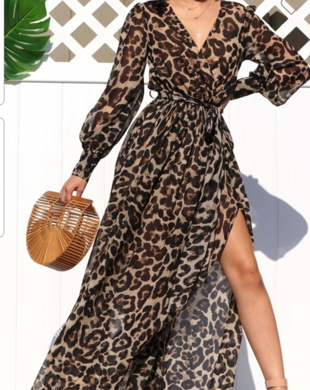 Leopard Print Maxi Dress